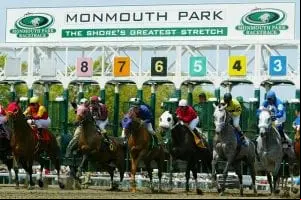 Sports Betting horse